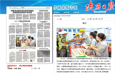 美狮贵宾会西北集团珑樾府项目高温慰问——《陕西日报》